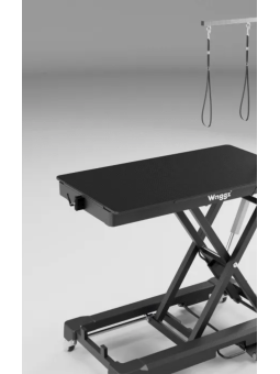 Tavolo Da Toelettatura Elettrico Waggz Nero con Ruote