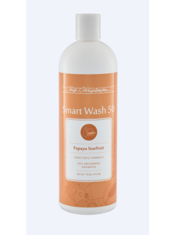 Chris Christensen Smart Wash 50 Papaya Starfruit Shampoo