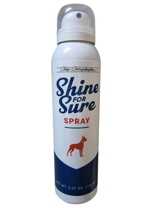 Chris Christensen Shine for Sure