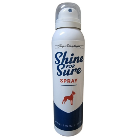 Chris Christensen Shine for Sure