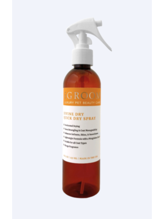 IGROOM Divine Dry Quick Dry Spray