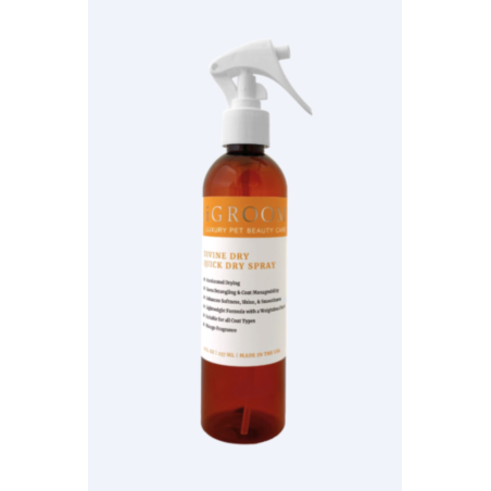 IGROOM Divine Dry Quick Dry Spray